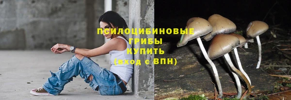 синтетический гашиш Ладушкин