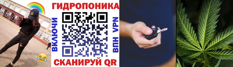 Бошки марихуана марихуана  где продают наркотики  Кукмор 